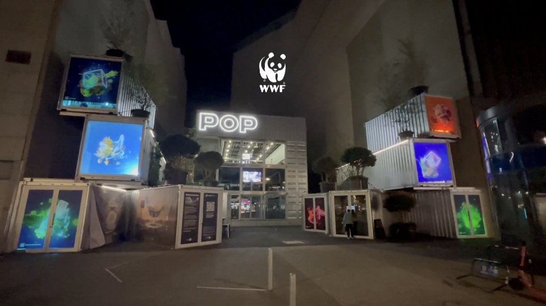 WWF — Ocean Detox Launch @ POPKudamm